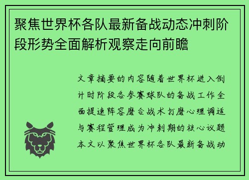 聚焦世界杯各队最新备战动态冲刺阶段形势全面解析观察走向前瞻